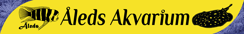 Åleds Akvarium